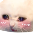 CryingBlushing emote