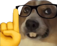 Dog_Nerd emote