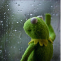 sad_frog Emote
