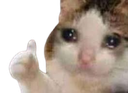 CatThumbsUpSad emote