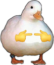 3425duck emote
