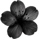qflower Emote