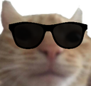 rizz_catcool emote