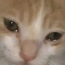 emoji_5 emote