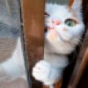 emoji_107 emote