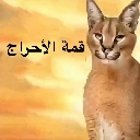 emoji_32 emote