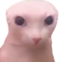 emoji_115 Emote