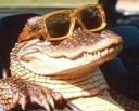 SR_lateralligator emote