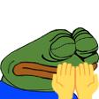 13595duage emote