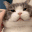 rubbingpussy Emote