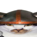 287990catviking2 emote