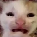 WAHHH Emote
