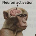 N_ACTIVATED Emote