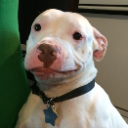 Aww emote