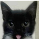 emoji_4 emote