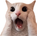 Shocked emote