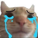 swagcry emote