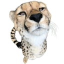 cheethmm emote