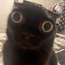 larry emote