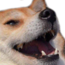 had emote