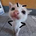 and emote