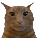catstare Emote