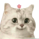 flowercatsmile emote