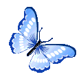 butterfly_blue emote