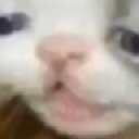 catweary emote