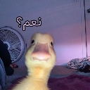 emoji_10 Emote