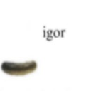igor emote