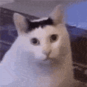35636huh Emote