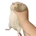 captured Emote
