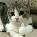 Screenshot________com Emote