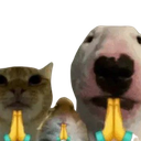 animalspraying emote