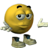 elishrug emote