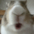 54853bunnychew Emote