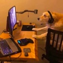 emoji_77 Emote