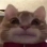 0_0 emote
