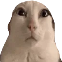 nep Emote