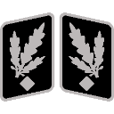 SSGruppenfhrer_Collar_Rank Emote