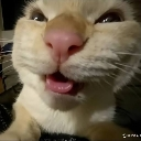 emoji_52 Emote