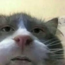 emoji_23 Emote