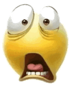 WUT Emote