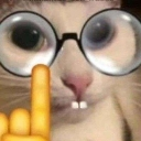 gatonerd emote