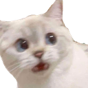 divine_huh Emote