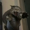 stooppp_rukkk emote