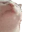 5498_catJAM Emote