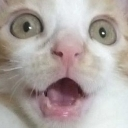 emoji_21 emote