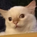 emoji_22 emote